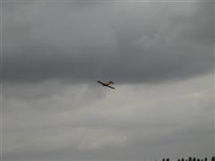 PICT2516.JPG